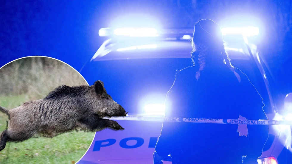 Trafikolyckan inträffade i Tierps kommun, nära gränsen till Älvkarleby.