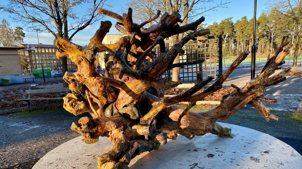 "Monument över en tall" skapat av konstnärerna Johan Tirén och Anna Högberg är placerat vi Järvenskolan och väcker känslor hos Katrineholsm invånare. 
