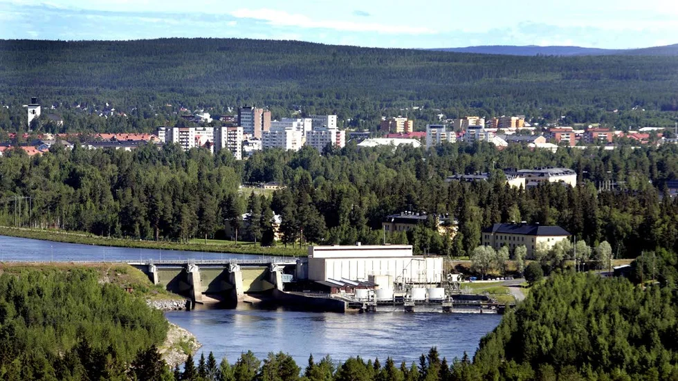 UPPTÄCKtSFÄRD. Från toppen av Rödbergsfortet kunde Måns Wadensjö, som praktiserat på NSD under en månad, se stora delar av Boden. Men han har fortfarande mycket kvar att upptäcka i Norrbotten.