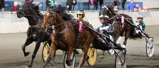 En Berghsäker dubbel på Bodentravet