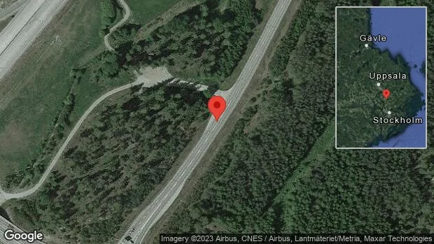 Älg på vägen på väg 273