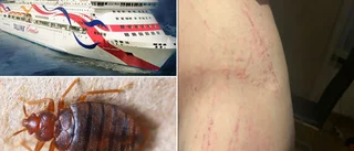 Fick vägglöss efter partyresan: ”Kliat sönder”