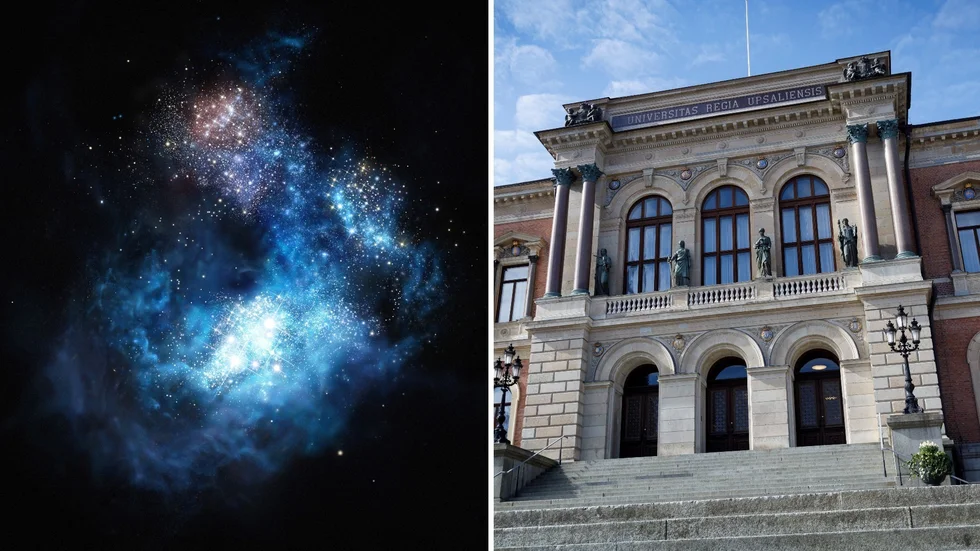Uppsalaforskning ska skjutas upp i rymden med förhoppningen att utveckla behandlingen av typ 1-diabetes.