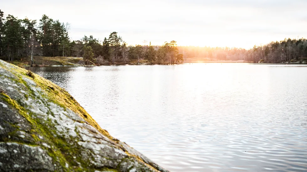 Kanhända är det dags för en picknick i vintersolen, under julhelgen? Se upp för hala klippor då bara. Fukten gör stenarna förrädiska.