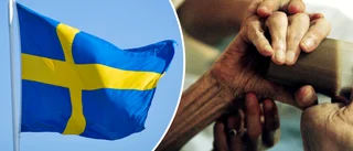 Vi ska vara tacksamma att vi har våra nysvenskar