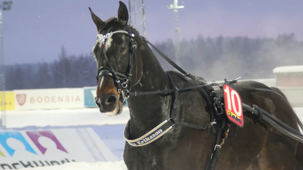 Sandra Erikssons förvärv Durello - ägd av Jägersrotränaren Joakim Lövgren - lekte hem V4-3.