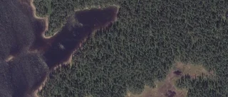 Nya ägare till gård i Arjeplog