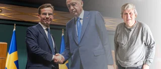 "Regeringen håller Erdogan under armarna i sin iver att få gå med I NATO"