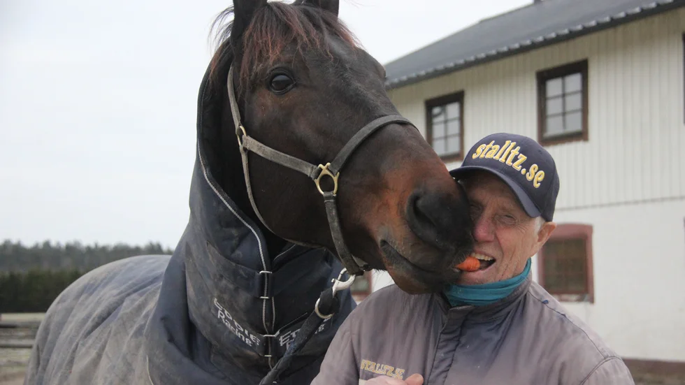 Stefan Melander är en av trav-Sveriges största genom tiderna. Här delar han en morot med en av sina stjärnhästar, Milligans School. 