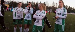 Assi kan få friplats: "Hört ryktet"