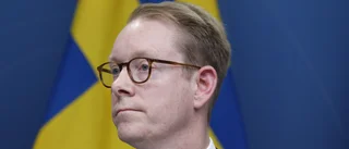 Billström: Nej till ungerskt Nato-utspel