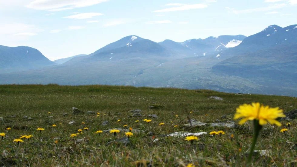 Naturen har en stor dragningskraft för turister.