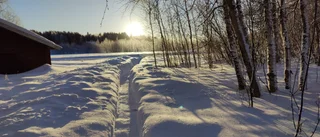 Läsarbilden: Vita vidder             