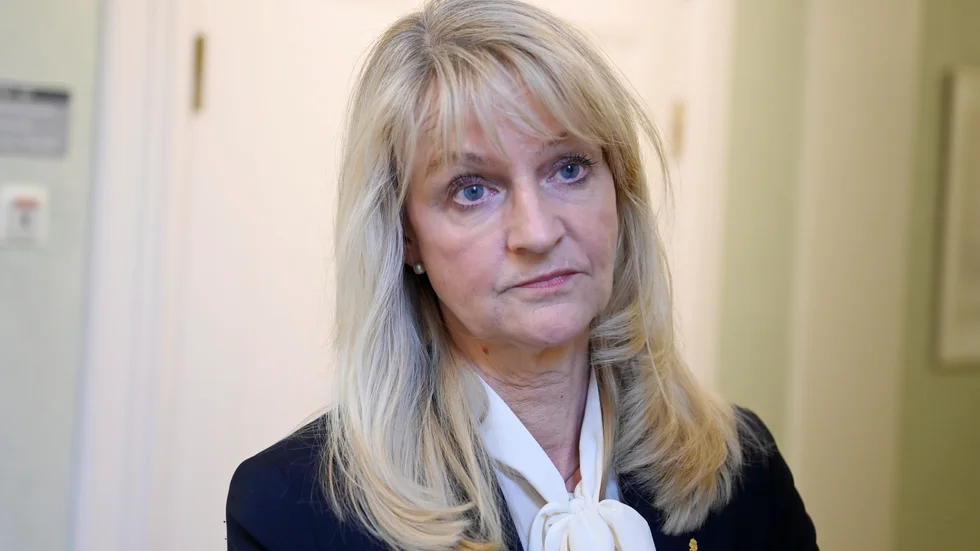 Säkerhetspolischef Charlotte von Essen informerade justitieutskottets ledamöter om hoten mot Sverige.
