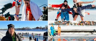 Världens tuffaste simtävling: Bildextra • Highlights från TV-sändningen • Stjärnans galna utmaning • Vimmel • Resultat • Intervjuer