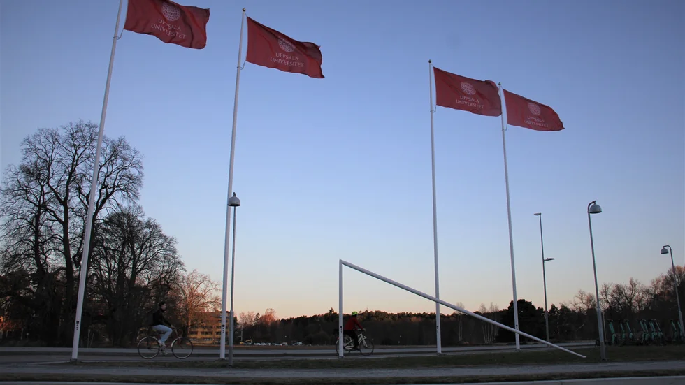 En av de nya flaggstängerna vid universitetets campus på Polacksbacken knäcktes i nattens hårda vindar.
