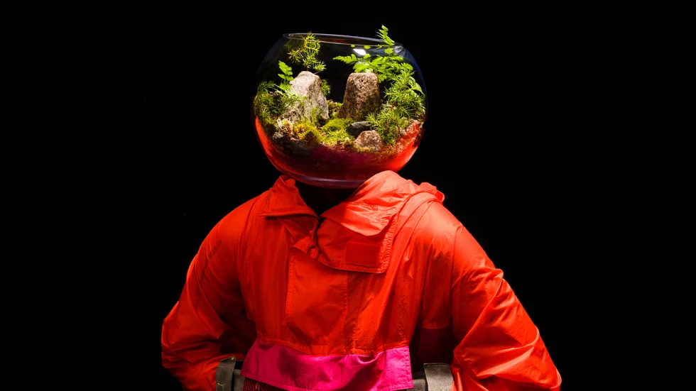 Terrarium