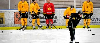BILDEXTRA: Mascherin på is – när AIK tränar inför CHL-matchen • TV: Se klipp från träningen