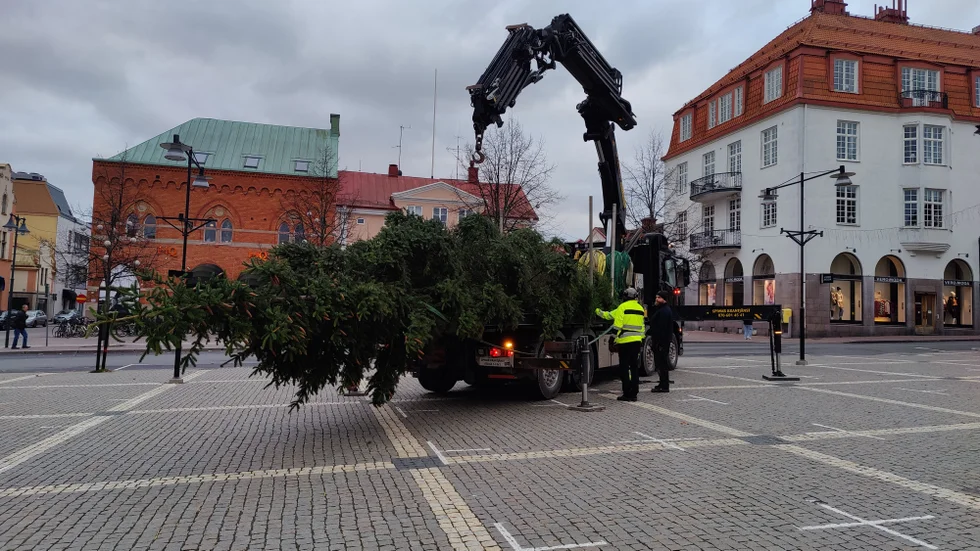 Tre man jobbade med att få granen på plats.