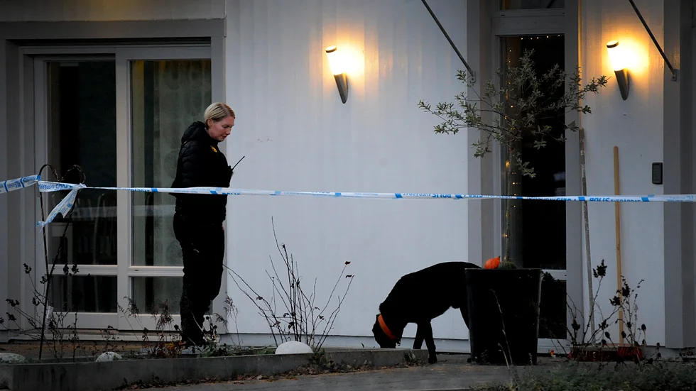 Polisens hundförare och ett stort antal tekniker letade igenom brottsplatsen i jakt på bevis.