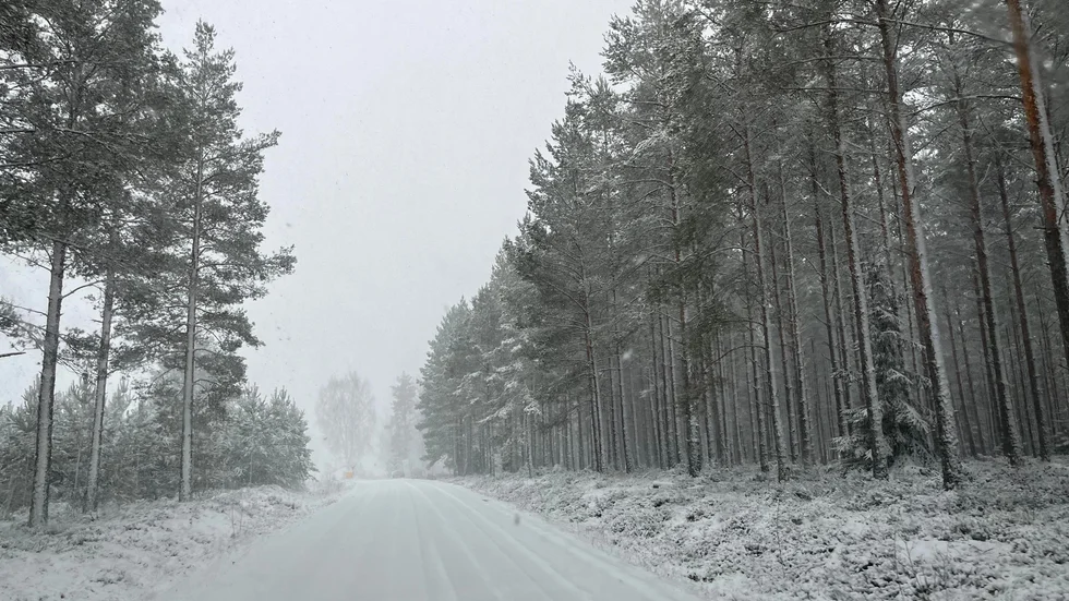 Någon snösmocka är inte att vänta till helgen. Men snö kan det trots allt bli. 