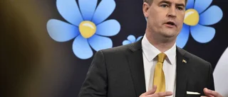 Så vill SD spara 30 miljarder