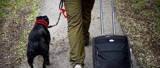Vilka livsval erbjuder Gotland?