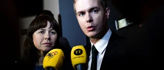 Ett vilset miljöparti?