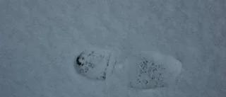 Få avåkningar trots snön