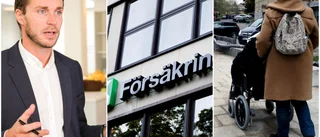 Assistansfusket ökar • Får inte utreda: "Vi ser fall av direkt vanvård"