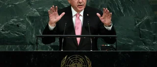 Illa förberedd Nato-ansökan   