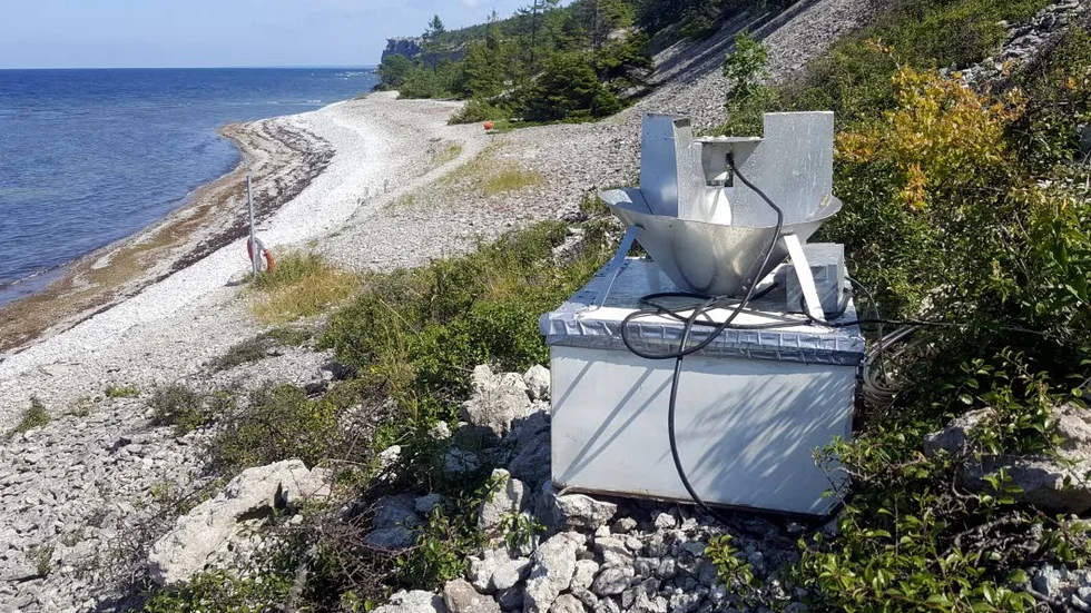 Genom att studera vilka arter nattlevande fjärilar som rör sig på Gotland kan forskarna följa klimatförändringarna.