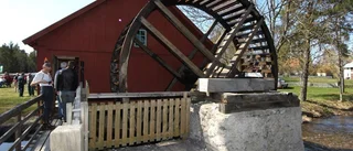 Mycket jobb för lite timmer    