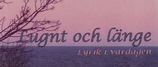 En debut som lovar fortsättning