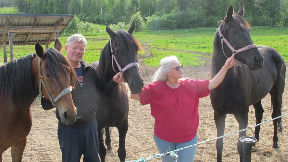 Yoshi Ness, Tomas Worrsjö, Bell Amie Ness, Elisabeth Worrsjö och Amie Ness. Yoshi och Amie Ness startar i V75-lopp på Bodentravet, lördag kväll.