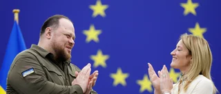 Ukraina får flankstöd i EU