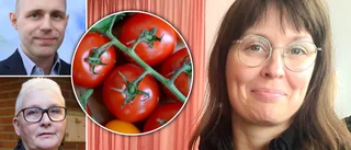 Politiskt grönsaksbråk • MP vill ha kommunal odling – då kommer attacken: "Socialistiska tomater" 