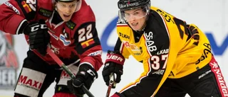 Norrbottningen förlänger med SHL-klubben