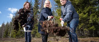 "Industrin och våra företag är motorn i omställningen"