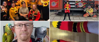 Bildspel: 105 bilder • Har du Norrbottens coolaste Luleå hockeydekoration? • Tävla om en signerad matchtröja