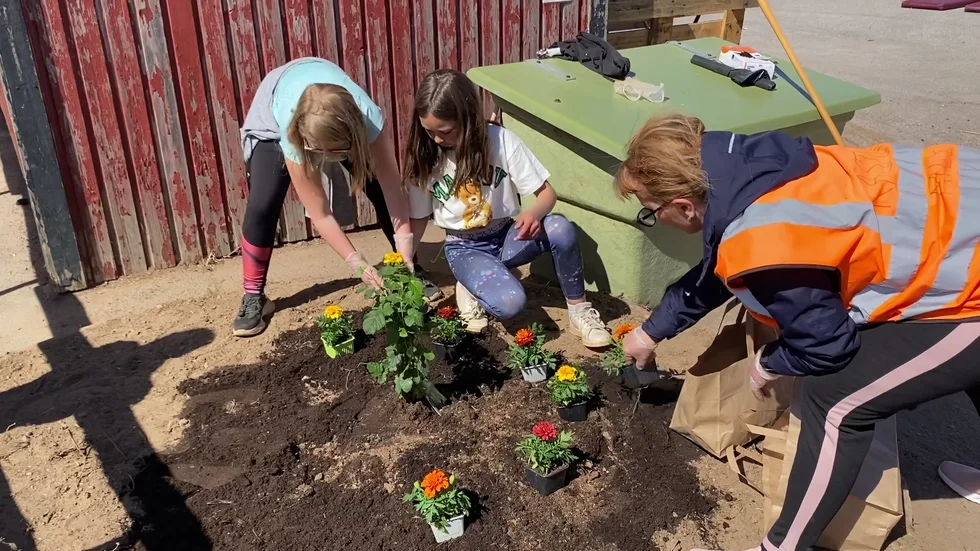 Så här kommer det att bli, björnbärsbusken i mitten och blommorna runt om, visar Milena Komlenic. Planteringen är i full gång.