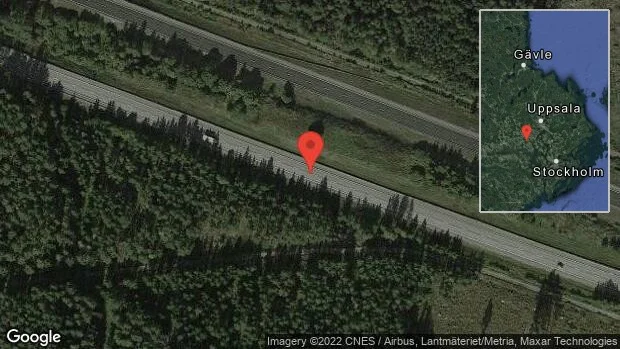Rådjur på vägen på E18