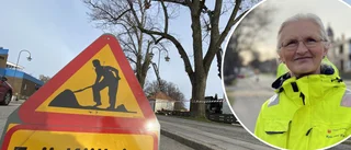 Storgatans lindar sjuka av honungsskivling – sågades ner bit för bit: "De är så stressade"