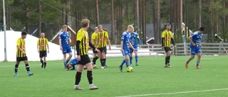Inhopparna bakom krysset på Heden
