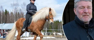 Hästtränaren Atli: "Det är ett evighetsjobb"