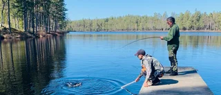 Stopp för ädelfiske i Stora Jordgölen 