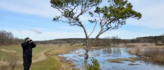 Återställ våtmarker