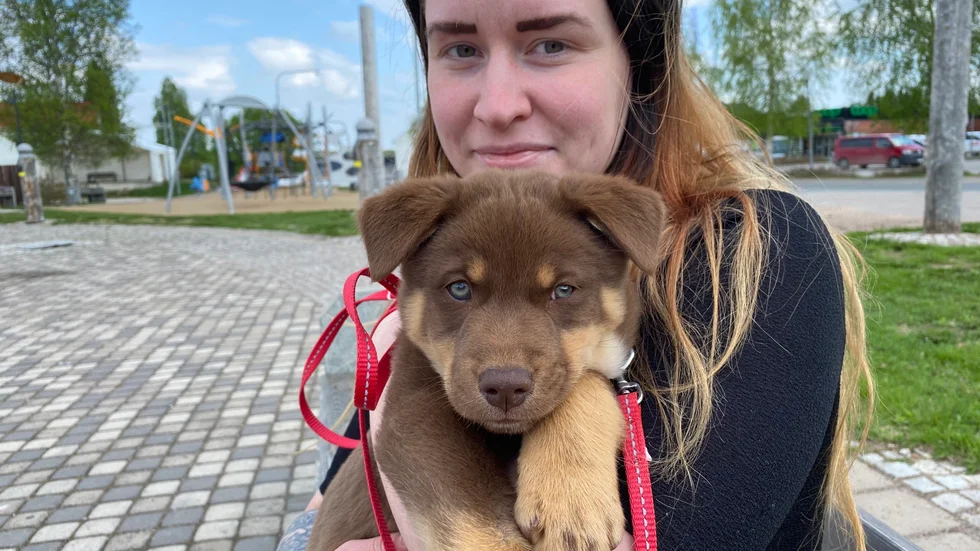 Sandra Olofsson med valpen Scooby hälsade på NSD:s team i Pajala.