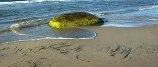 Stranden är tillgänglig för alla