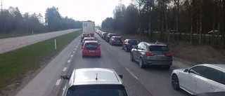Köer vid järnvägsövergången i Notviken